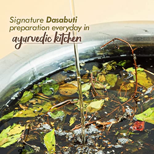 Nat Habit - Back To Natural Secrets Everyday Men's Revital Summer Dasabuti Hair Oil for Hairfall, Dandruff Control with 16 Herbs Soaked, Castor,... - Image 4