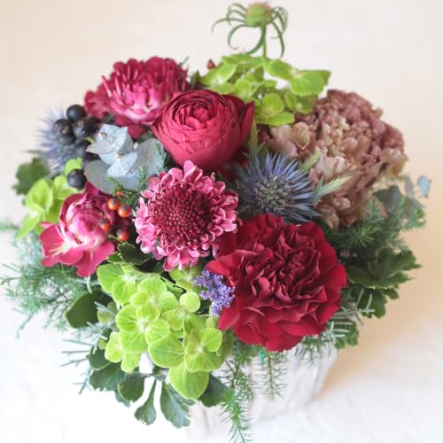 җj  v[g lC  j җ 60 60 t[ Mtg a  AWg bh Ԍn NX}X v[g lC  ސEj NސE AW t[Mtg  ij ij Vzj \ Cx