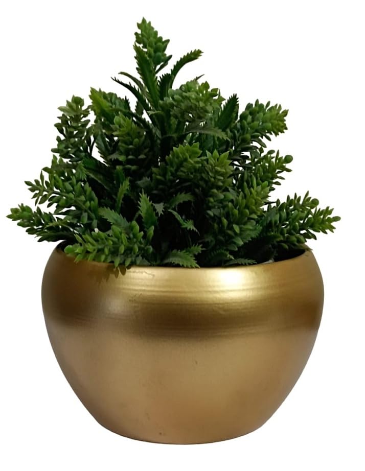 Aarav Decorative Small Pot | Multipurpose Table Pot | Indoor Plants Pots | Flower Pot for Live Plant Indoors, Living Room Decor, Home/Office Decoration (5.5 x 4.5 inch) Golden (Plants not included) (B0CL5CJK1C) Amazon Price History, Amazon Price Tracker