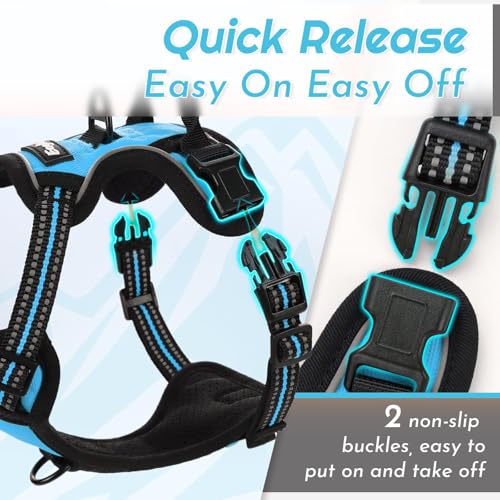 Image of Eagloo Dog Harness for Small Dogs, No Pull Pet Vest with 2 Leash Clips