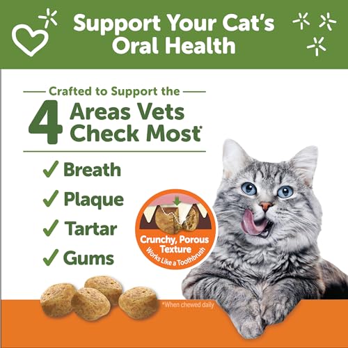 Image of Wellness WHIMZEES Cat Dental Treats, Freshens Breath, Chicken Flavor, 2 oz Bag