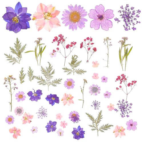 Kit de Flores Secas Naturales para Manualidades DIY 27 Pzs miniatura 1