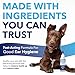 TropiClean OxyMed Preventative Dog Ear Cleaner, Vet Recommended Ear Cleaning Solution for Itch Relief, Daily Wash Drops, Safe for Cats, USA Made, 4oz.