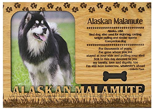 Alaskan Malamute Engraved Wood Picture Frame Magnet