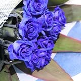 PURIZA 生花花束 青いバラの花束 「奇跡」 「神の祝福」 神秘的なブルーローズ 奇跡の花 プロポーズ 誕生日 記念日 花束 青いバラ花束 ベンデラ 薔薇 お祝 送別会 退職祝い (10)
