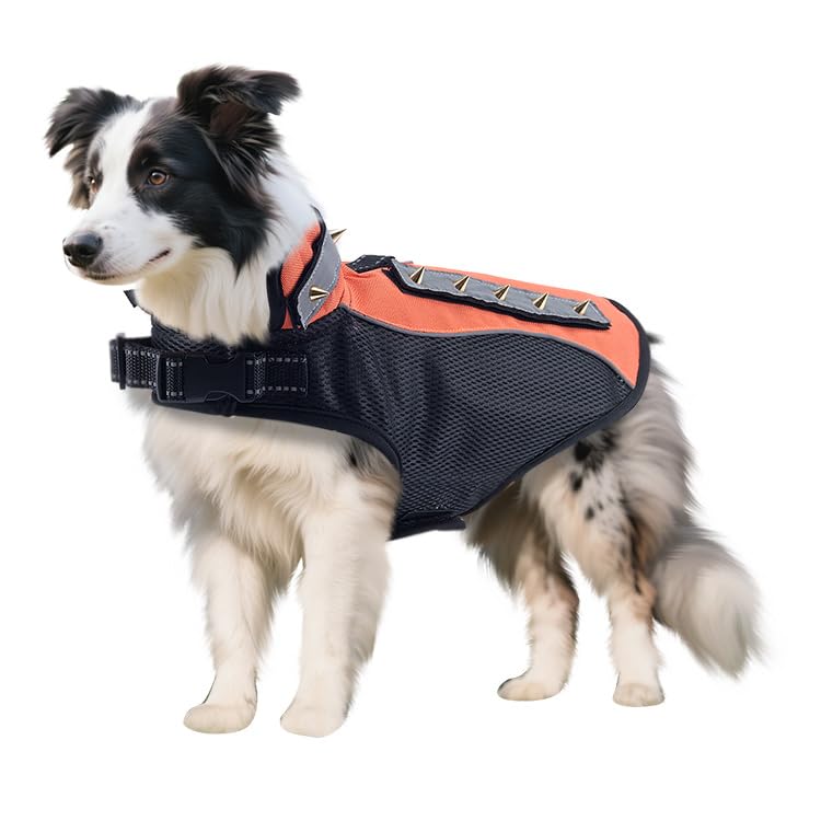 BT Bear Dog Anti Bite Suit,Dog Thick Padding Vest with Rivet Nail Anti Attack Pet Jacket for Puppy Medium Dogs (S,Orange)