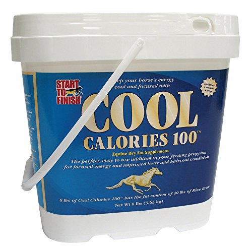 COOL CALORIES100 8#