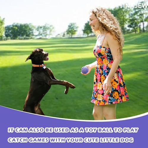 Reusable Dryer Balls Anti Static, 6 PCS Laundry Agitator Balls for Laundry, Non-Toxic Washing Balls Tangle Free for Washer, Softens Fabrics, Prevents Tangles, Enhances Cleaning (Large)