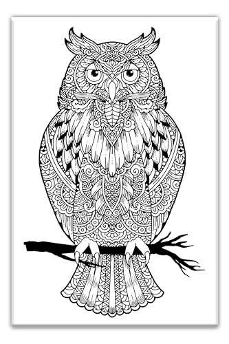 Owl Adult Coloring, Stretched primed canvas to color, Size – 8 x 12 Inches