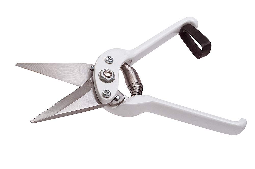 UKAL 106607001 - Sheep - Foot Care - Shears - Nail Shears - Notched White Sheep 6 cm, Notched Alu