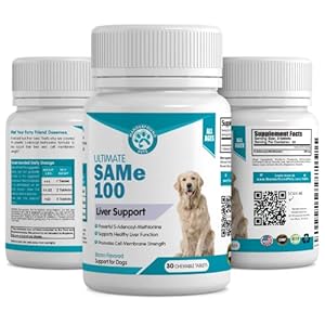   Wanderfound-Pets-Same-100-Liver-Support-for-Dogs-Same-S-Adenosyl-L-Methionine-Hepatic-Supplement-for-Liver-Brain-Support-Bacon-Flavored-Sam-E-Manufactured-in-The-USA-30-Chewable-Tablets