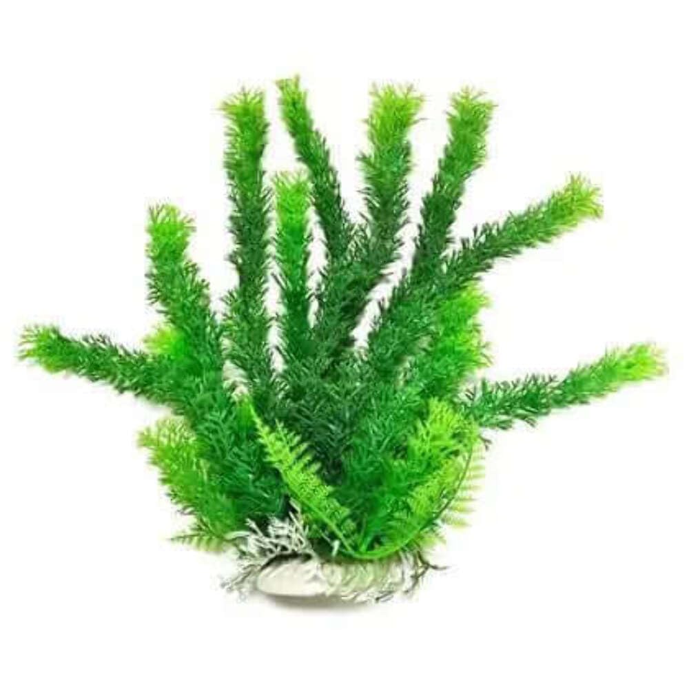 Aquatop 38201428: Plant, Cabomba Green 6In