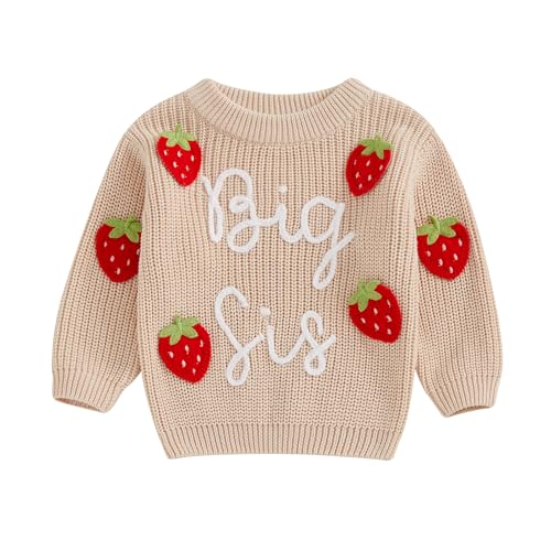 Toddler Girls Sweater Strawberry/Bow/Floral Letter Embroidery Crew Neck Long Sleeve Kids Pullovers Fall Tops
