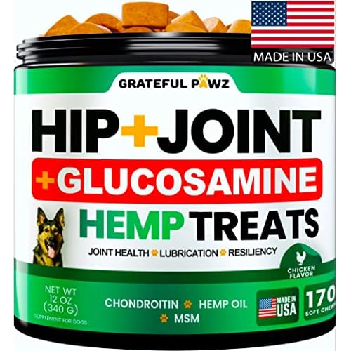 Hemp Hip and Joint Supplement for Dogs – Glucosamine for Dogs – 170 Dog Joint Pain Relief Treats – Chondroitin, MSM, Hemp Oil – Advanced Dog Joint Supplement Health – Mobility Support Chews