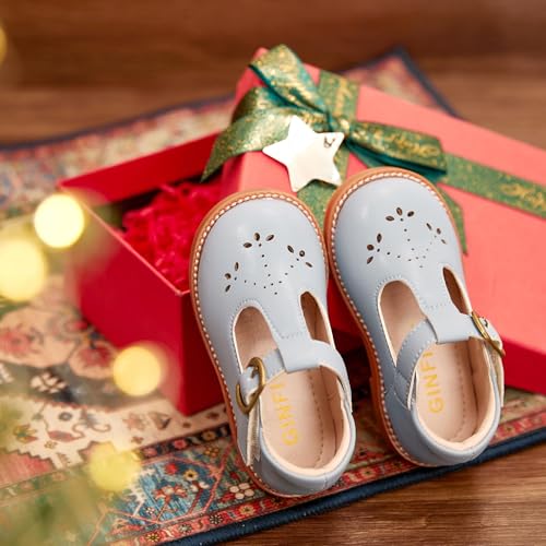 Image of GINFIVE Toddler Girls Dress Shoes Little Kids Flats School Mary Janes Shoes