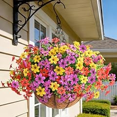 Purple Red Yellow Orange