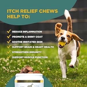 Petscydogitchreliefchewswithomega3fattyacidsepadhaitchrelieffordogsnutritionalsupportimmunitymusclesitchyskintreatmentfordogsofallagesporkflavor30chews Urban Country Home Decor Petscy dog itch relief chews with omega 3 fatty acids epa dha itch relief for dogs nutritional support immunity muscles itchy skin treatment for dogs of all ages pork flavor 30 chews urban country home decor