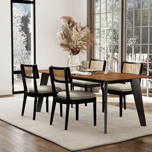 DAYALANE Rattan Dining Chairs