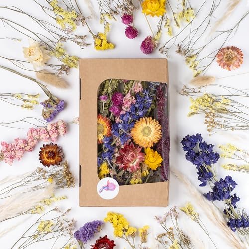 Premium Dried Flowers for Crafts, Various Colours, Naturally Frag...