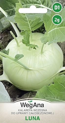 Semi di cavolo rapa WegAna Luna 2g Semi, Semi di ortaggi robusti, Semi di ortaggi, Semi da coltivazione