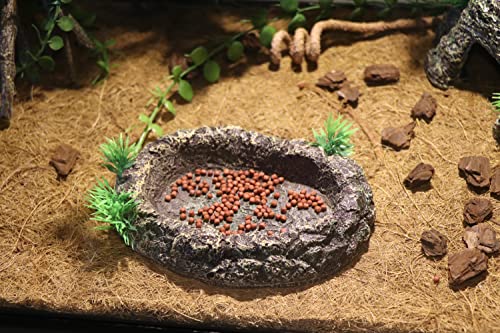 AQUA KT Amphibian Reptile Snake Worm Dish Water Food Bowl for Lizard Turtle Bearded Dragon Tank Accessory Terrarium… - Image 5