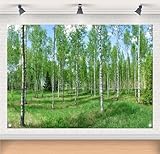 Gorpic 5x3ft Fabric Forest...