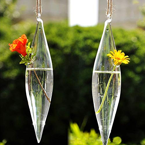 Bewinner Jardinière de Fleurs en Verre à Suspendre, Conteneur de Terrarium élégant pour la Décoration de Jardin de la Maison, Bouteille en Verre...