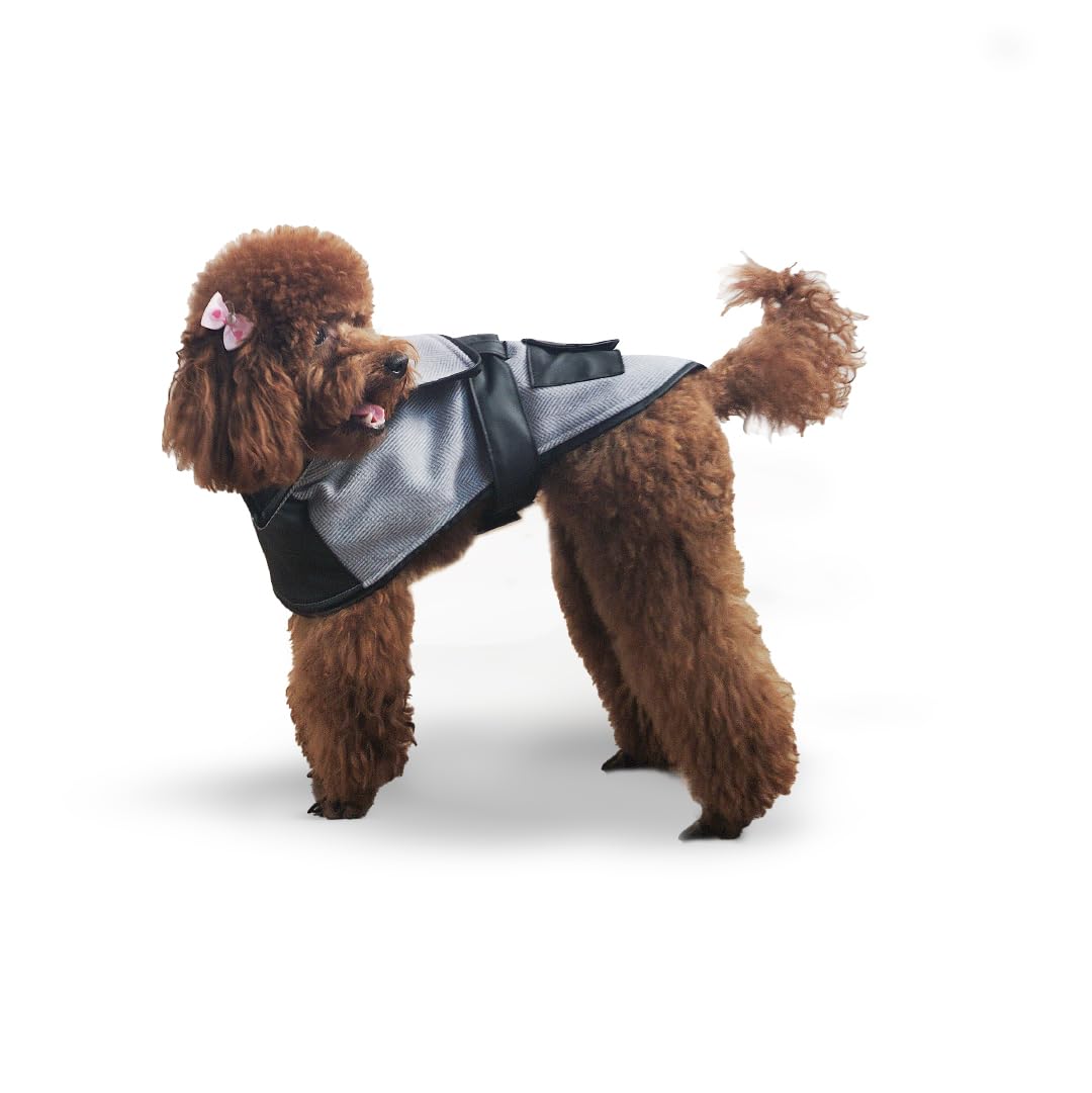 Black Dog Coat (Medium), Dog Clothes for Spring, Dog Jacket, Schnauzer, Poodle