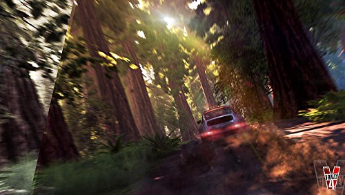 V Rally 4 Ps4 - vue 6
