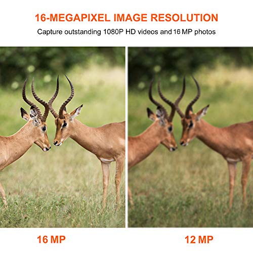 Trail & Game Hunting Camera with Night Vision 16MP for Hunter Outdoor Scouting Wildlife and Indoor Home Security Surveillance Motion Activated Waterproof Photo and Video Model Time Lapse & Time Stamp - Thumbnail 5