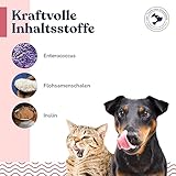 felmo Verdauungs-Paste für Hunde & Katzen 60ml Schnelle Linderung bei Durchfall Mit Flohsamenschalen, Probiotikum und Präbiotikum unterstützend bei Medikamentengabe und der Regenerationsphase