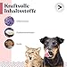 felmo Verdauungs-Paste für Hunde & Katzen 60ml Schnelle Linderung bei Durchfall Mit Flohsamenschalen, Probiotikum und Präbiotikum unterstützend bei Medikamentengabe und der Regenerationsphase