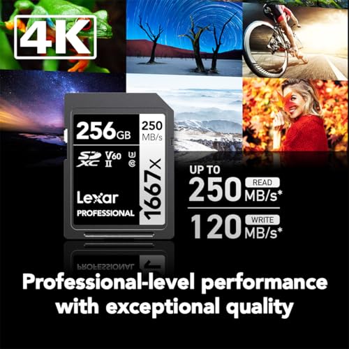 Lexar Professional 1667x V60 256GB
