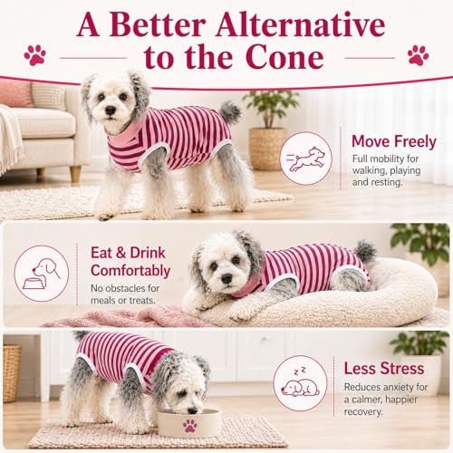 Image of Dog Surgery Recovery Suits, Sleeveless Dog Recovery Suit Female, E-Collar & Cone Alternative Surgical Suit for Small and Medium Dogs After Surgery, Striped Dog Onesie Pajamas