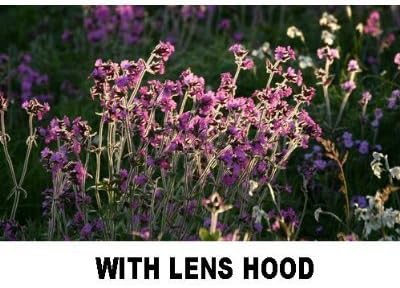 Miniatura 4 de PLR Optics - Parasol para videocámaras digitales Canon VIXIA HF G20, G30, XA25, XA20 (2.283 in)