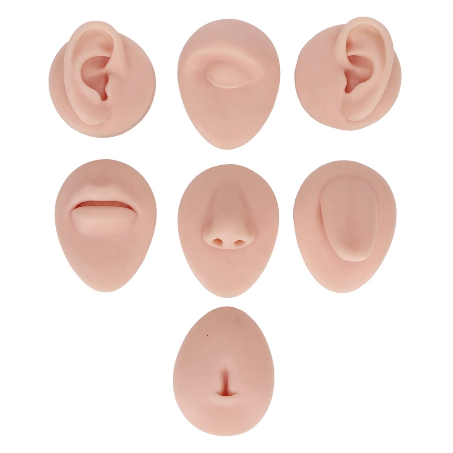 Silicone Piercing Body Model Set with Display Rack, Soft Silicone Ear Nose Mouth Tongue Navel Model for Piercing Practice and Jewelry Display(Medium)