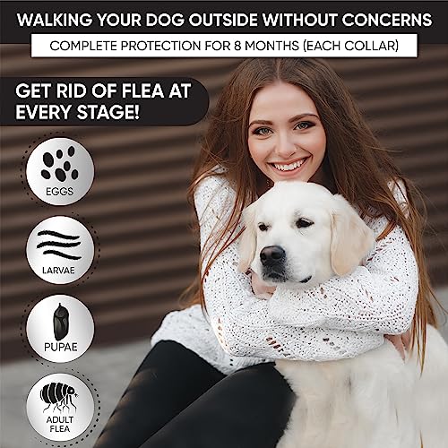 4-Pack-Flea-and-Tick-Collar-for-Dogs-8-Month-Protection-Flea-Collar-for-Dogs-Flea-Tick-Collar-for-Dogs-Dog-Flea-and-Tick-Collar-Black