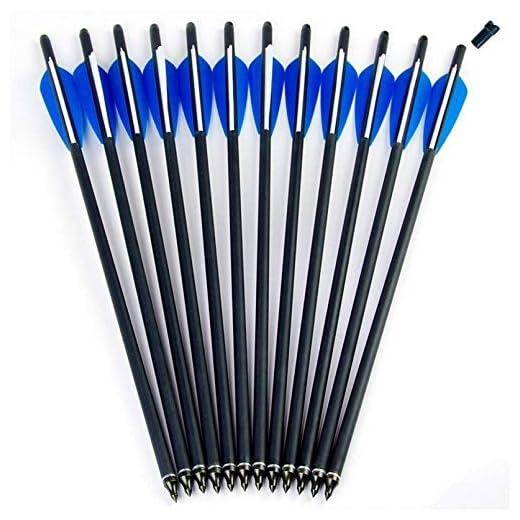 GPP Hunting Archery Carbon Arrow 20" Crossbow Bolts Arrow with 4" vanes and Replaced Arrowhead/Tip 12PC