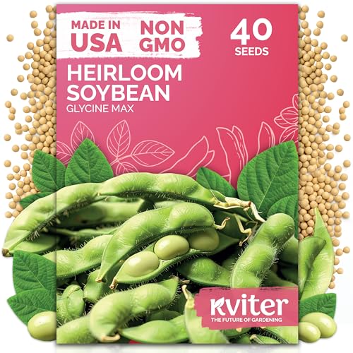 KVITER 40 Soy Bean Midori Giant Edamame Seeds (Glycine max) - Green Soybean Soy Beans Non GMO Variety Sweet Nutty Flavor - Heirloom Vegetable Seeds for Planting Outdoors in Home Garden