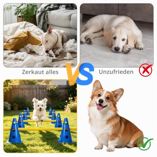 Trukafie 8er Agility Set Hunde Cavaletti Hund Hobby Horse Hindernisse