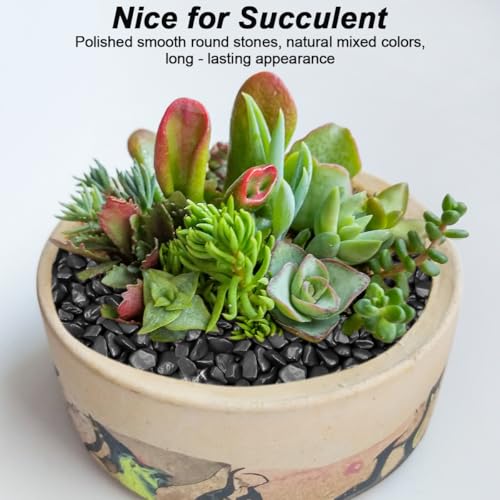 Image of Decorative River Rocks & Landscaping Pebbles for Potted Plants
