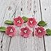 Global Sugar Art Blossoms and Leaves Edible Sugar Cake & Cupcake Flowers, Pink, Small Unwired, 24 Count with Leaves by Chef Alan Tetreault