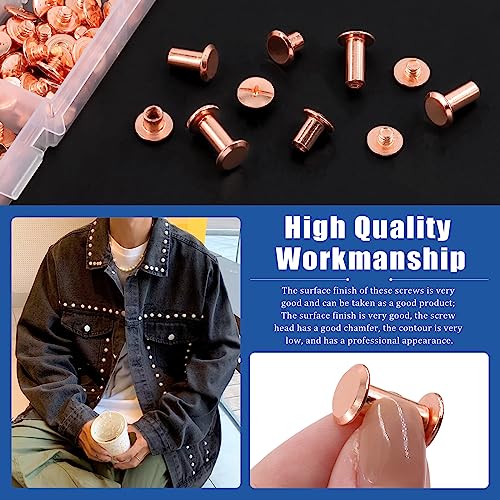 Glarks 110 Sets 6 Sizes Chicago Screws Leather Rivets with Punch and Screwdriver Kit - Image 4