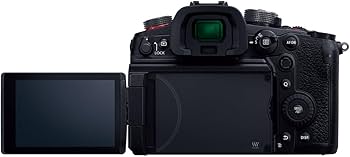 Amazon | パナソニック(Panasonic) ミラーレス一眼カメラ ルミックス