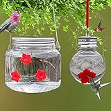 HILIVESVALUE 2Pack Mason Jar Hummingbird Feeder with Flower Feeding Ports, Wild Birds Feeding Jar, P