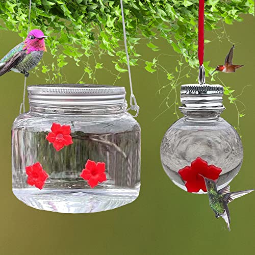 Hilivesvalue 2Pack Mason Jar Hummingbird Feeder With Flower Feeding Ports, Wild Birds Feeding Jar, Portable Clear 800Ml Reservoir Design, For Outdoors Hanging Yard Garden Decoration #TOP1