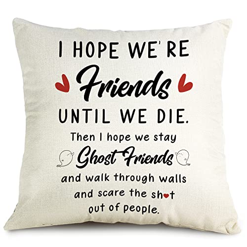 OUZ Best Friendship Gift for Friends Pillow Case - I