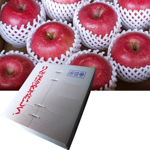 青森県産 贈答用(秀品)りんご サンふじ3kg箱(通常梱包)ギフト用 藤崎農園