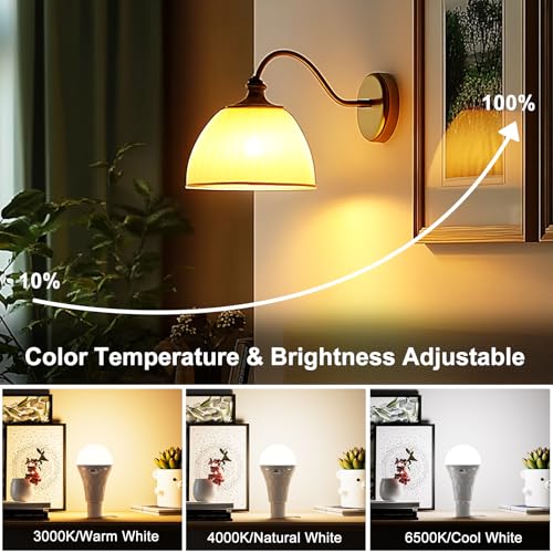 E27 LED Glühbirne mit Batterie Fernbedienung, Dimmbar LED Akku Lampen (3000K/4000K/6500K), 2600mAh Outdoor Lampe, Timer Leuchtmittel Sockel&USB Rechargeable Dual-Purpose Für Tischlampe/Camping