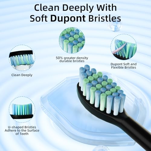 Electric Toothbrush, Sonic Toothbrushes with 8 Duponts Brush Heads, with 2 Minute Smart Timer, 6 Modes with Teeth Whitening, Rechargeable Power Toothbrush (Black, One Size) - Image 4